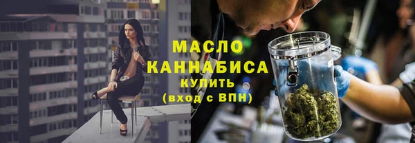 твердый Михайлов