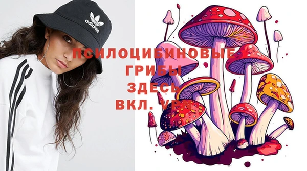 mdpv Михайловка