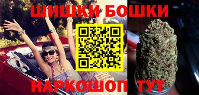 МДПВ Камышлов