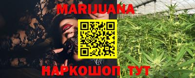 МДПВ Камышлов