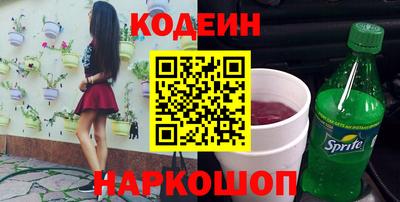 МДПВ Камышлов