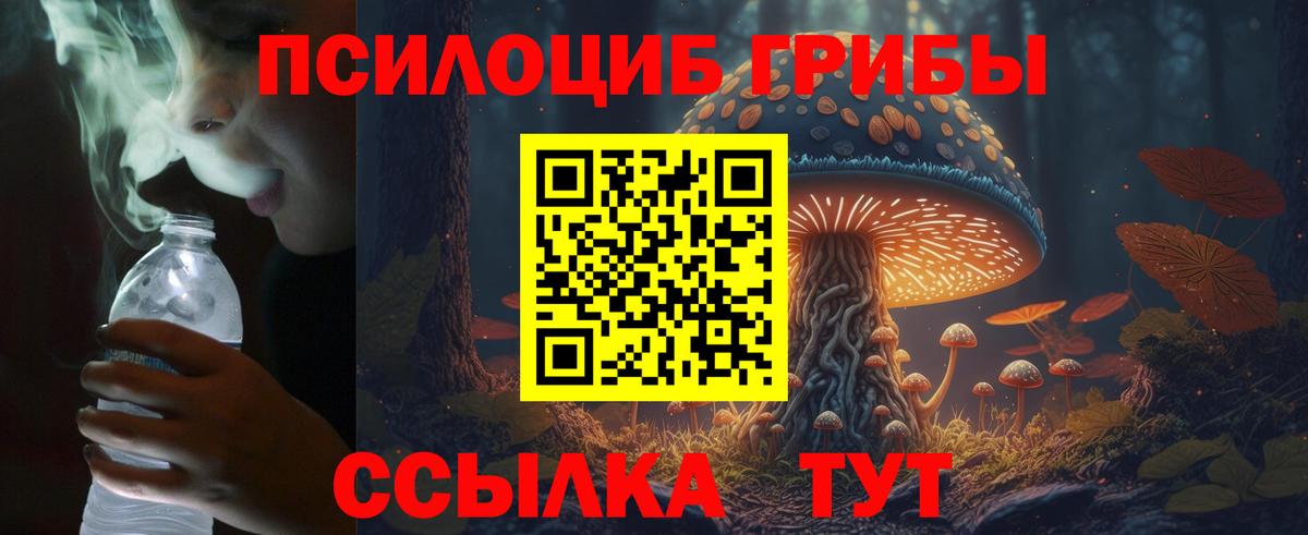 Тулун  Псилоцибиновые грибы мицелий  Вход с VPN 